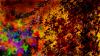 Wallpapers widescreen HQ - Fonds d ecran large HD - 0884